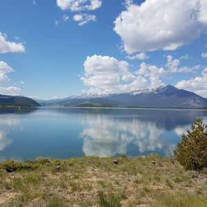 Meet your Posher, Sharyn